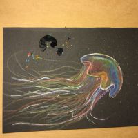 Jellyfish