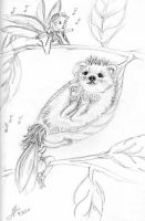 Hedgehog Serenade