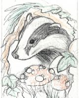 Badger