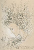 Wind Flower