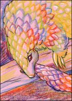 Rainbow Pangolin