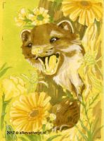 Among the flowers