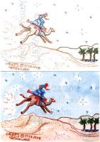 A Starry Night and a Camel Race