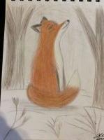 Fox in winter wonderland