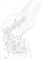 Whispering Spring