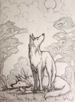 Wolves