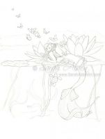 Waterlily