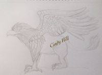 Griffin