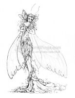 Lady Butterfly WIP