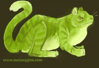 amphibious feline