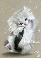 My sweet Cat
