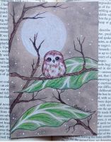 Littlest Owl