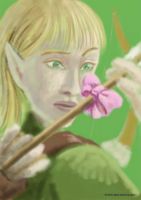 Bows and Arrows