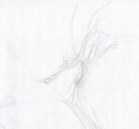 Gesture