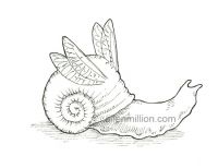 Snailwings