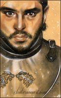 King of the North ( Illustrate a legend)