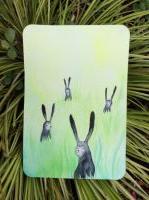 Bunnies!