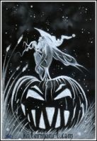 Witch Fairy