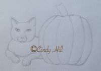My pumpkin
