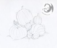 Pumpkin Kitty!
