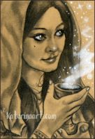 The Sorcerer\'s Magic