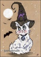 Spooky Kitty