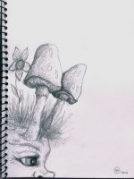 Look at my mushrooms!