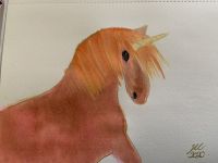 Wild Unicorn