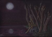 Pond under the Moon