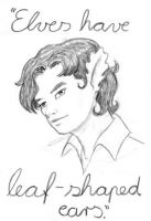 Elves have leaf-shaped ears
