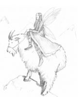 On the mountain goat