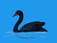 Swan Lake