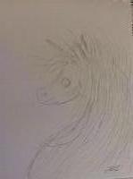 Hairy Unicorn