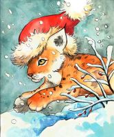 Lynx in a Santa Hat