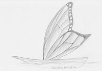 Fairy Boat