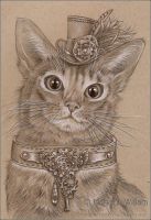Mr. Meowington