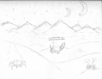 Lost Fox