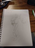 Swan Princess