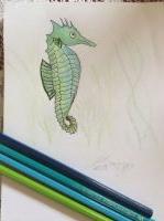 Colourful Sea Horse
