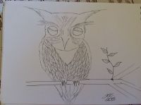 Owl of Enchantment