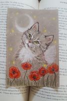 Poppies