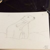 Polar bear