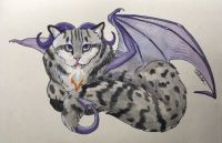 Cat dragon