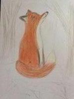 Fox in winter wonderland