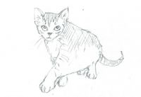 Sky Kitty!