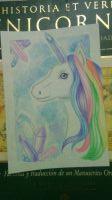 Rainbow Unicorn