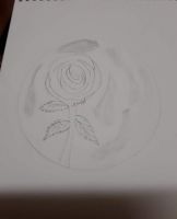 Moon Rose