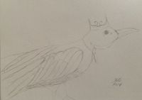 Raven Kkng