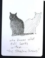 Shadow cat...