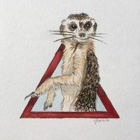 Warning! Meerkats